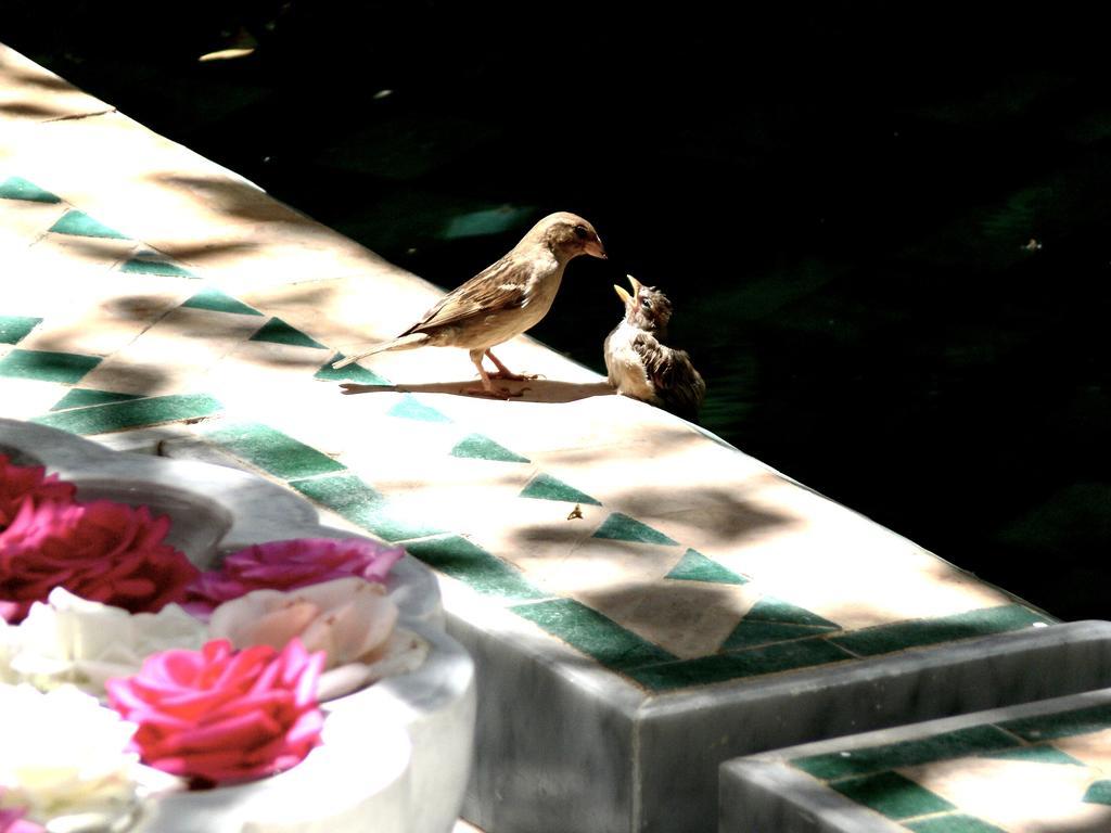 Riad El Mezouar Bed & Breakfast Marrakesh Exterior photo